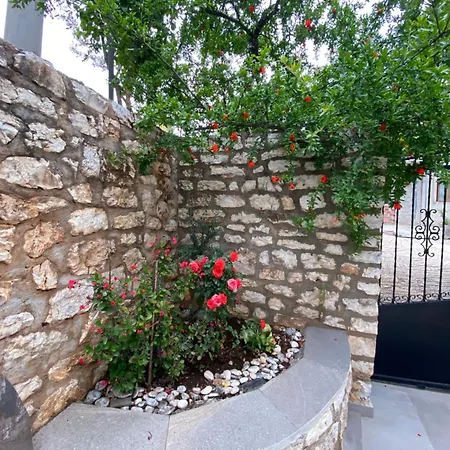 Eli's Σαράντα