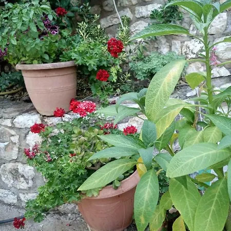 Apartment Eli's Sarande