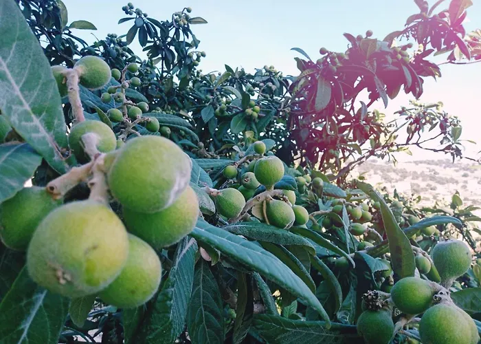 Eli's Apartment Sarandë